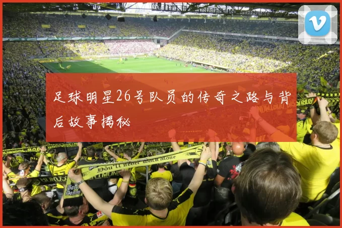 足球明星26号队员的传奇之路与背后故事揭秘