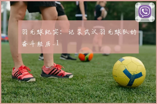 羽毛球纪实：记录武汉羽毛球队的奋斗经历_1