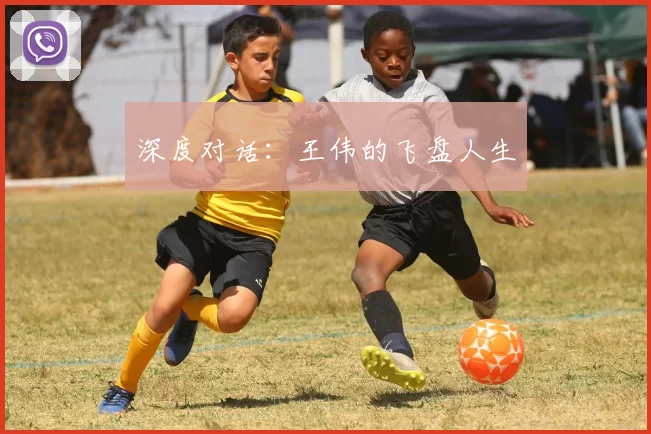 深度对话：王伟的飞盘人生