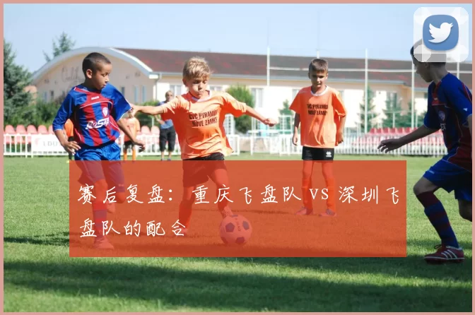 赛后复盘：重庆飞盘队 vs 深圳飞盘队的配合