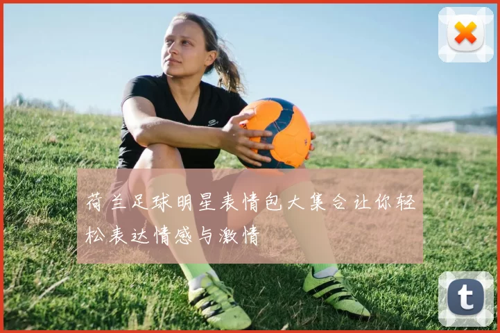 荷兰足球明星表情包大集合让你轻松表达情感与激情