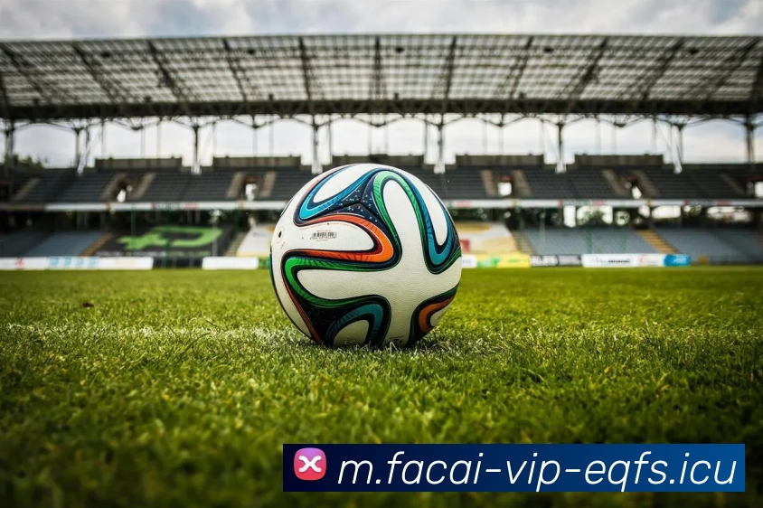 华体会体育品牌故事