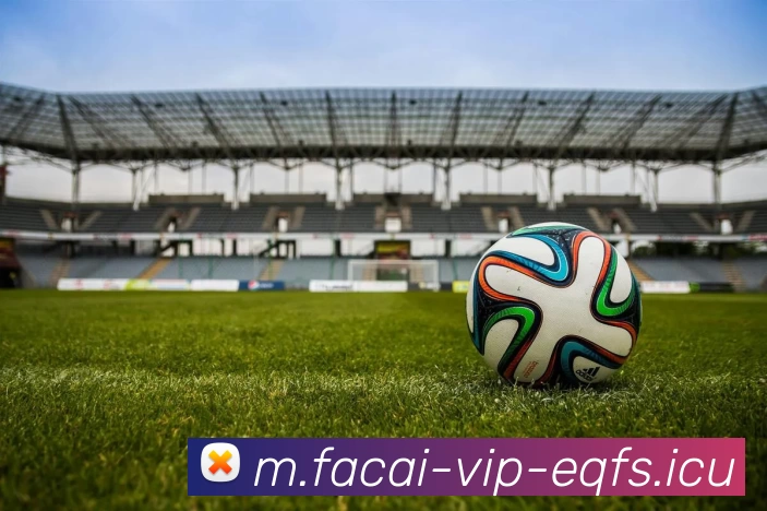 华体会体育服务体系